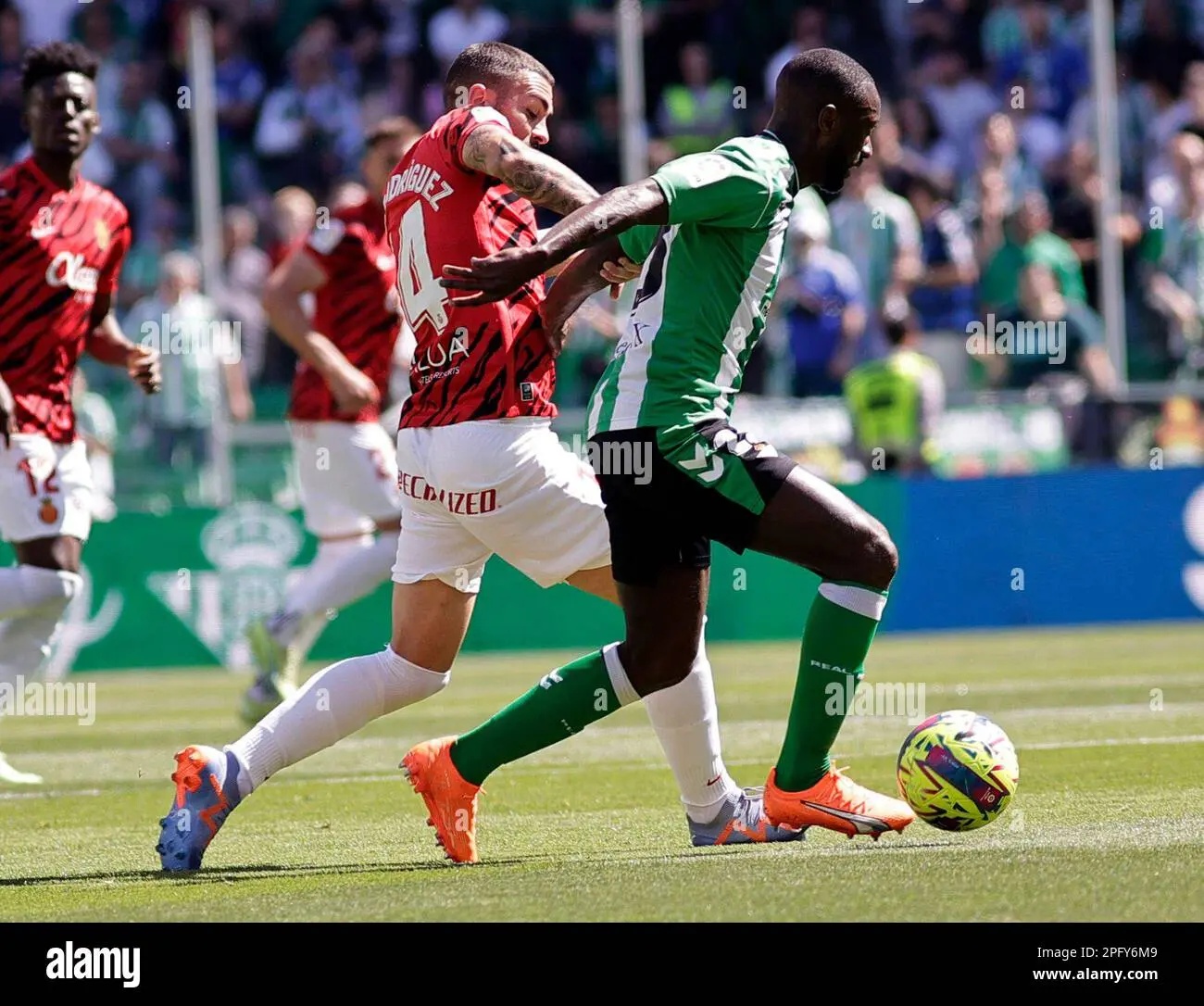R.C.D. Mallorca Prepared for Key Clash Against Real Betis