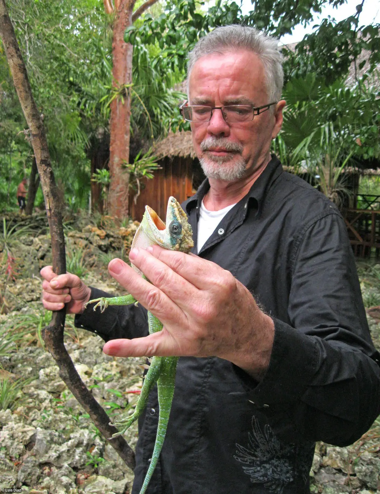 Robert Trivers: A Pioneer in Evolutionary Biology