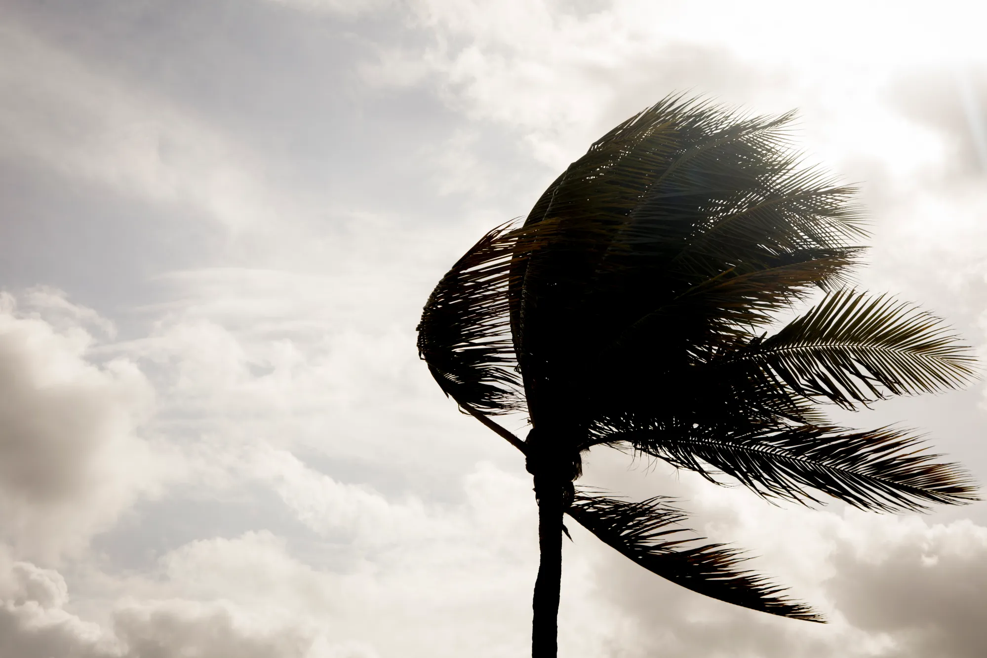 Understanding San Diego Weather: Current Trends and Forecasts