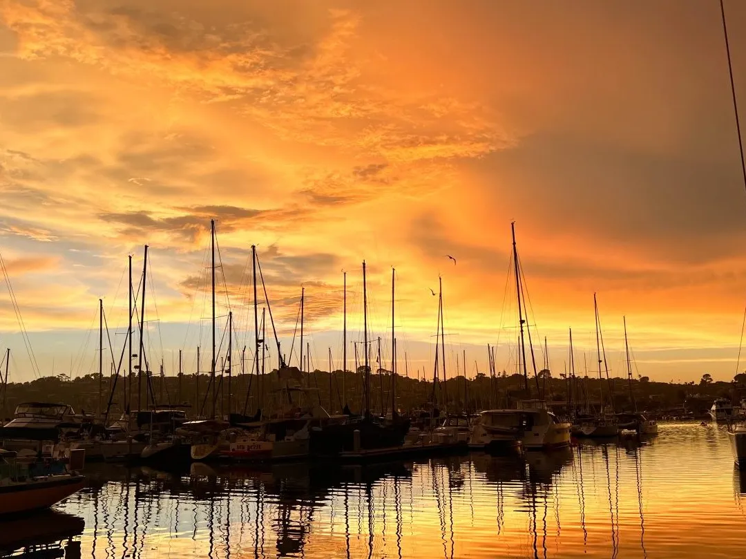 Understanding San Diego Weather: Current Trends and Forecasts