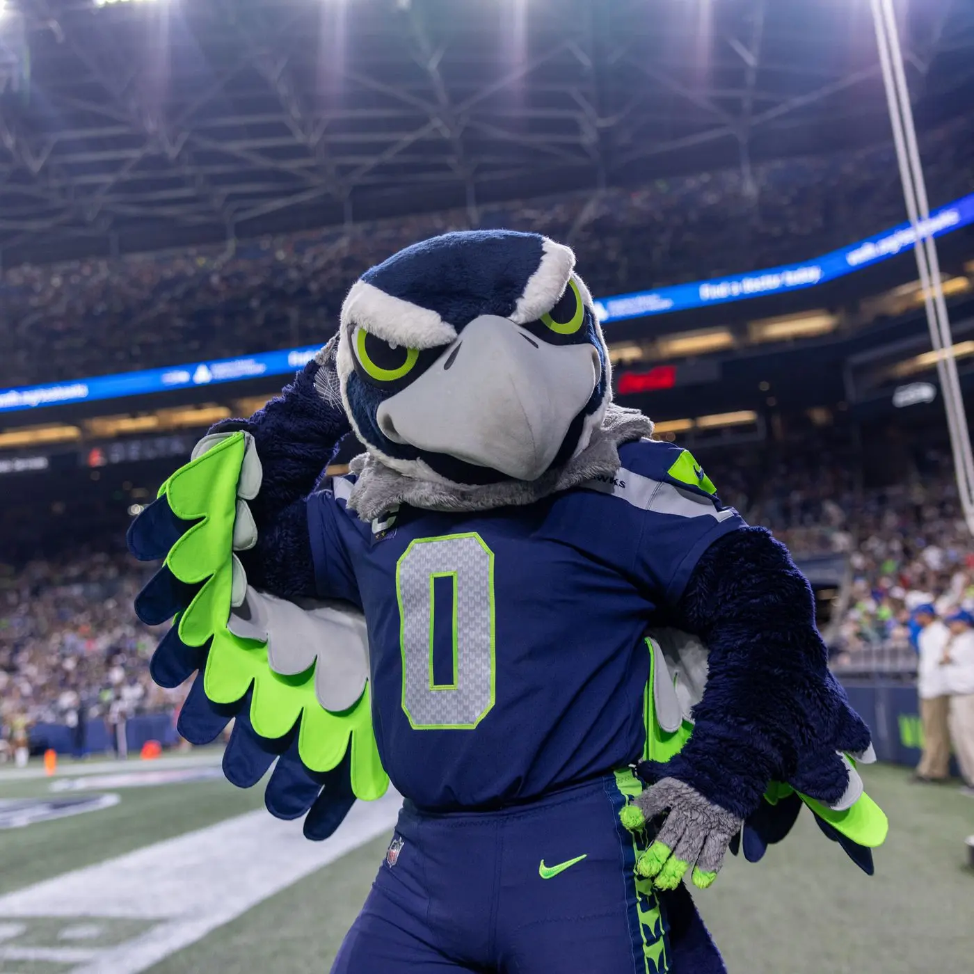 The Seattle Seahawks Mascot: A Symbol of Pride and Community
