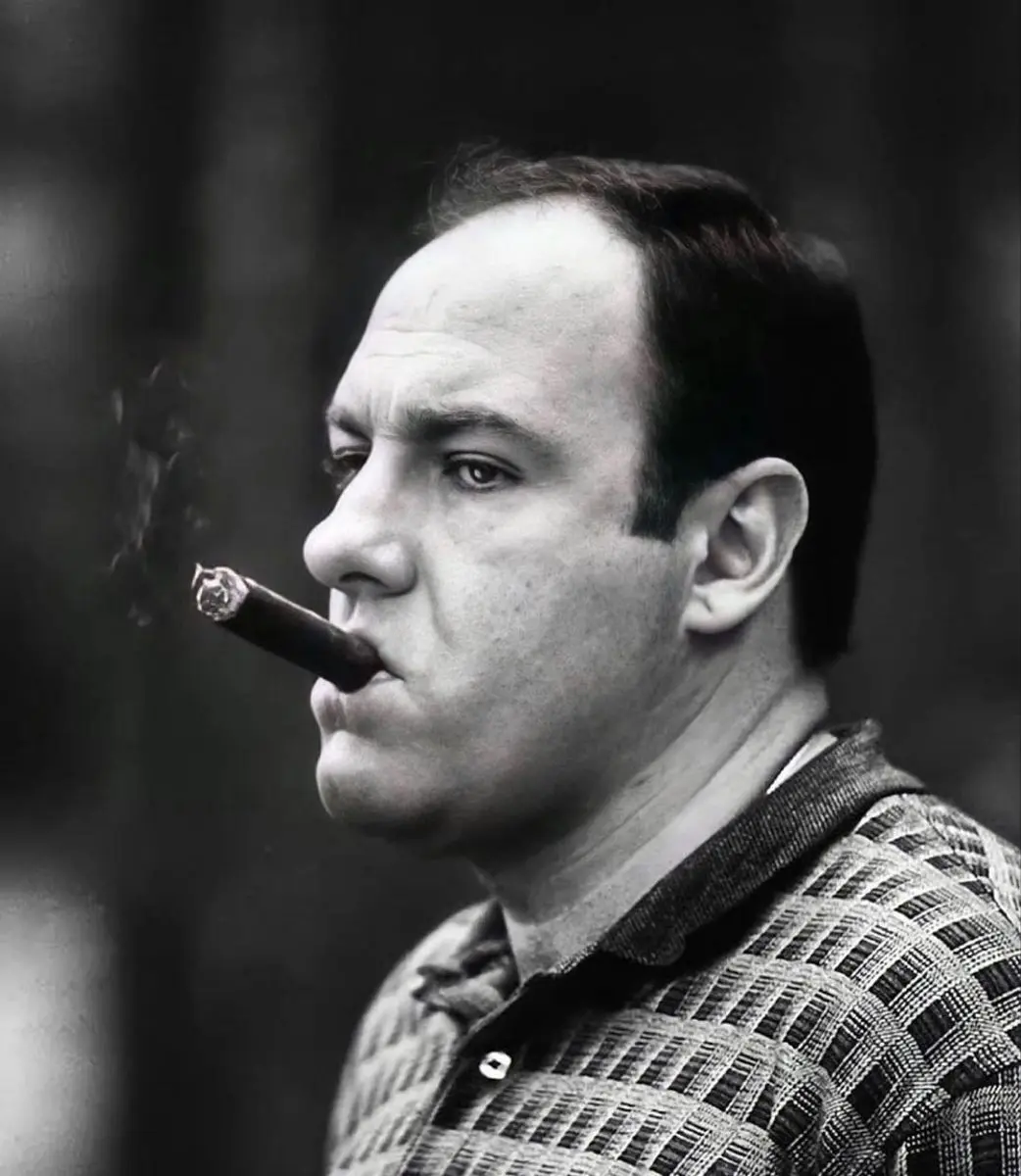 The Sopranos: Analyzing Its Impact and Legacy