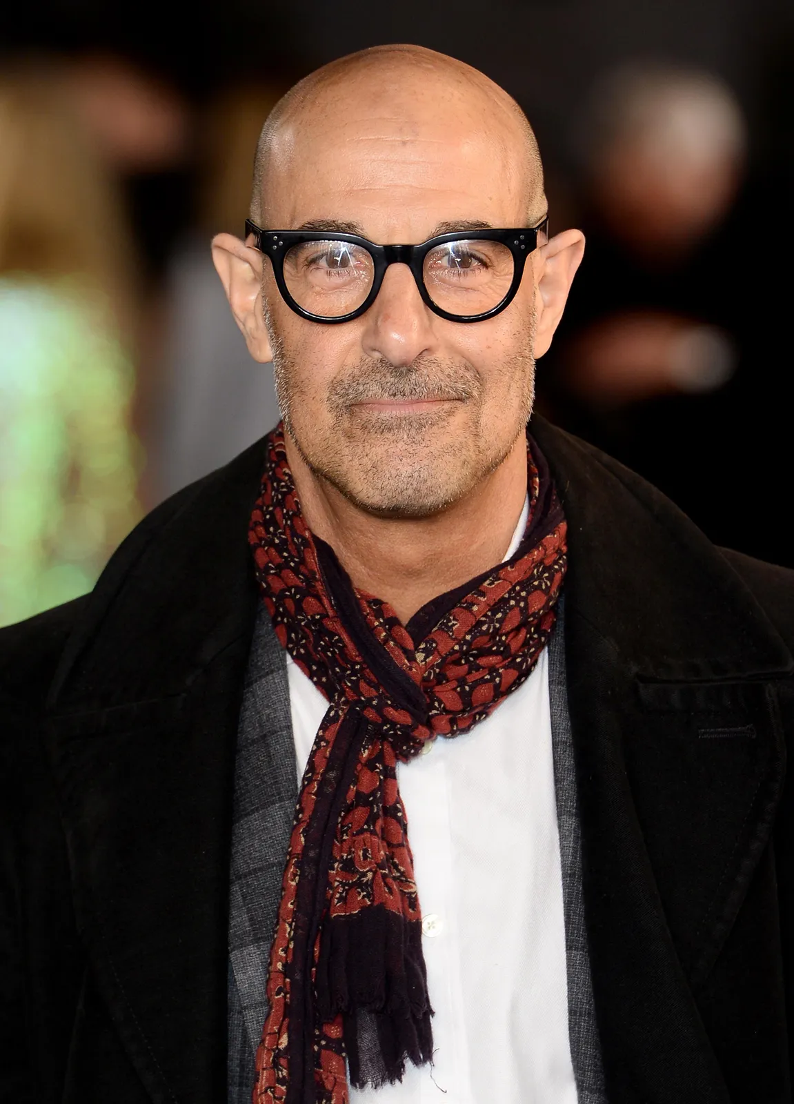The Multifaceted Career of Stanley Tucci