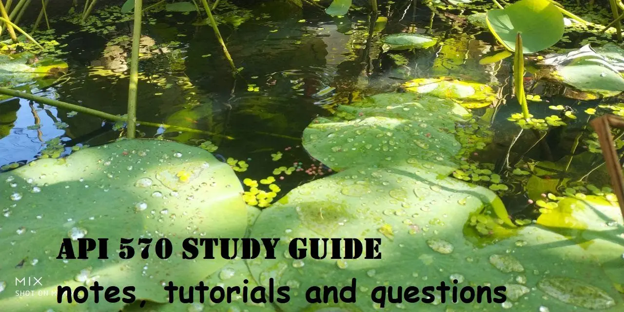 The Importance of Study in Today’s World