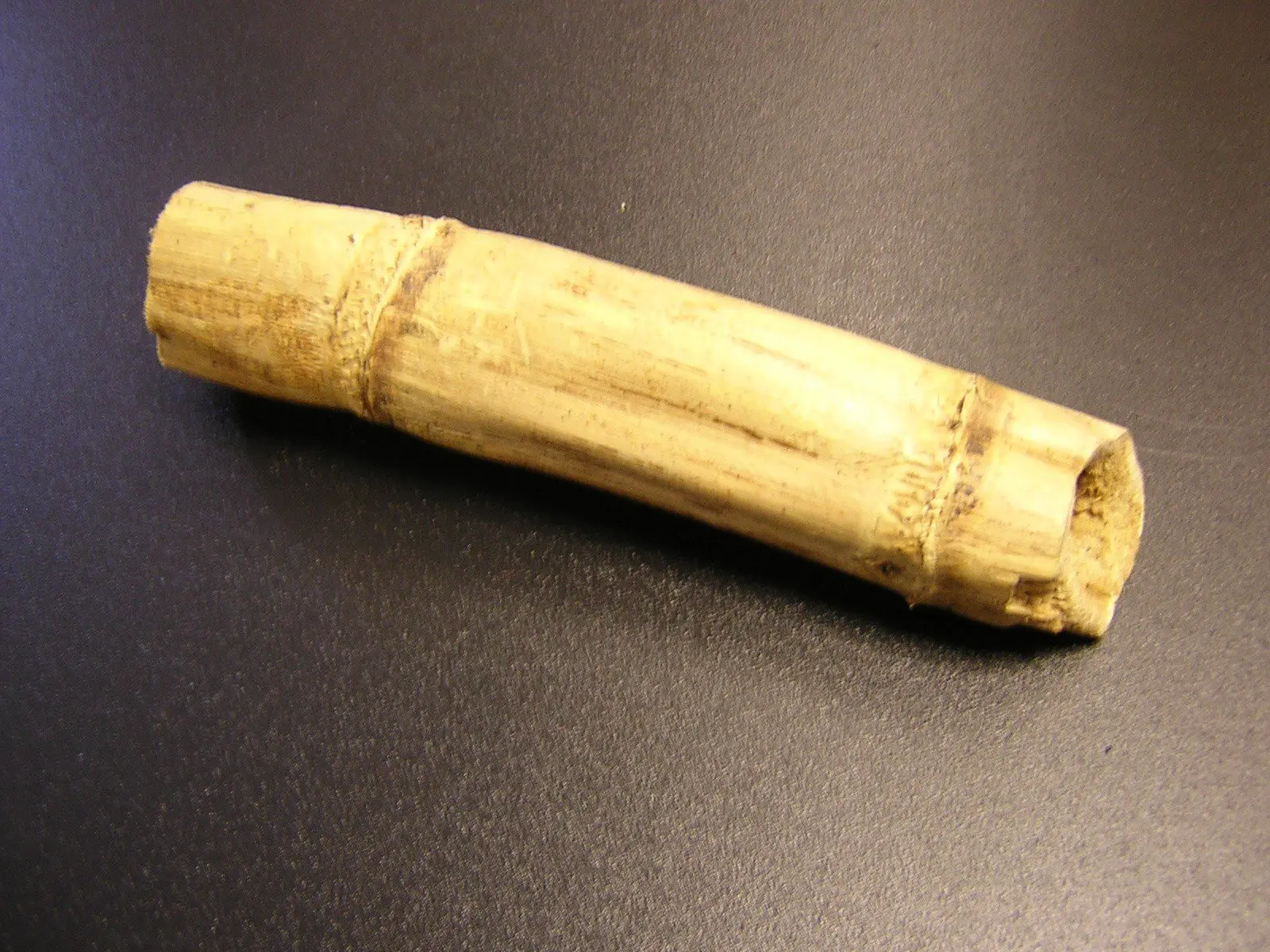 The Role of Sugar Cane in Modern Agriculture