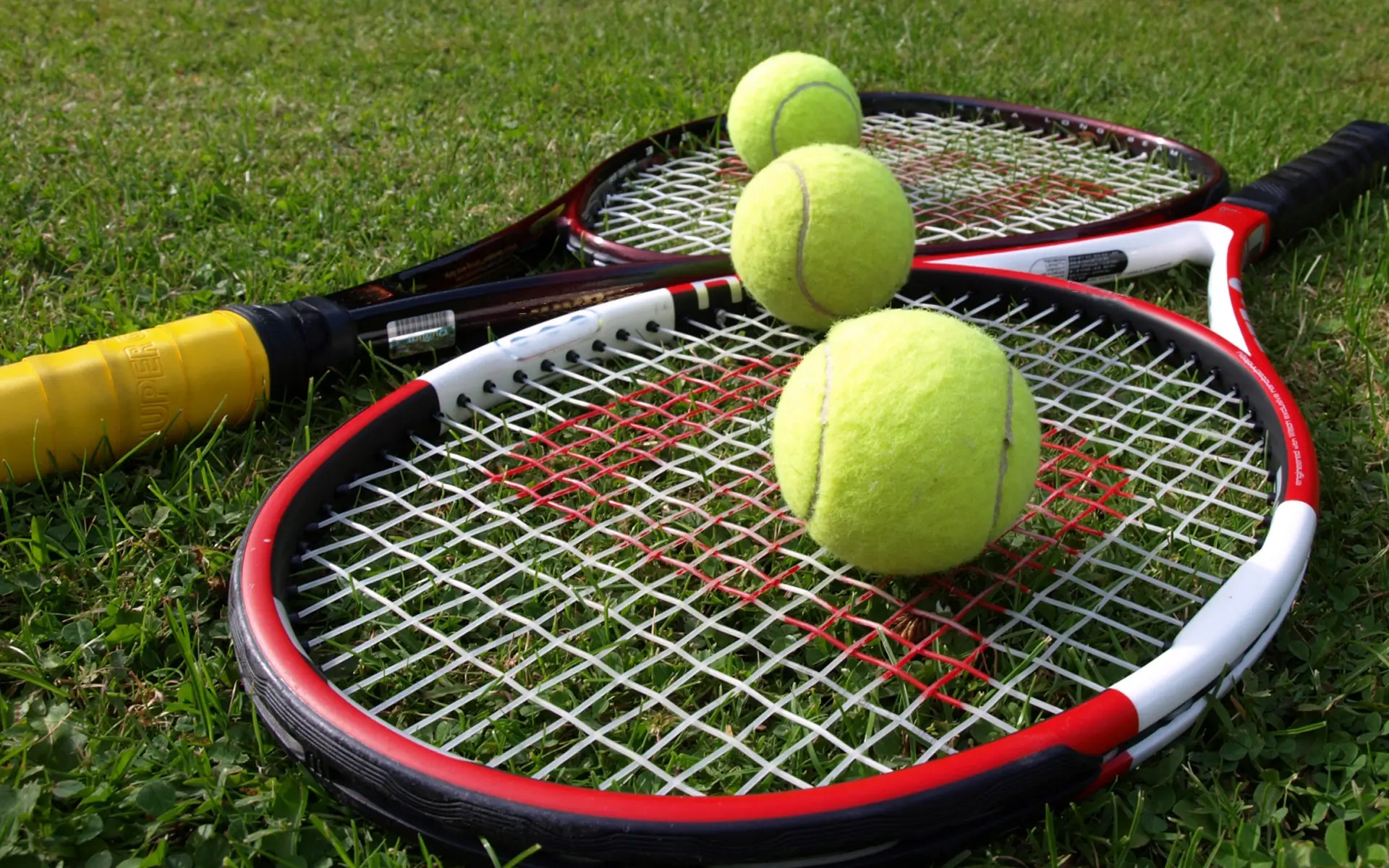Tennis Scores Today: Get the Latest Results and Highlights