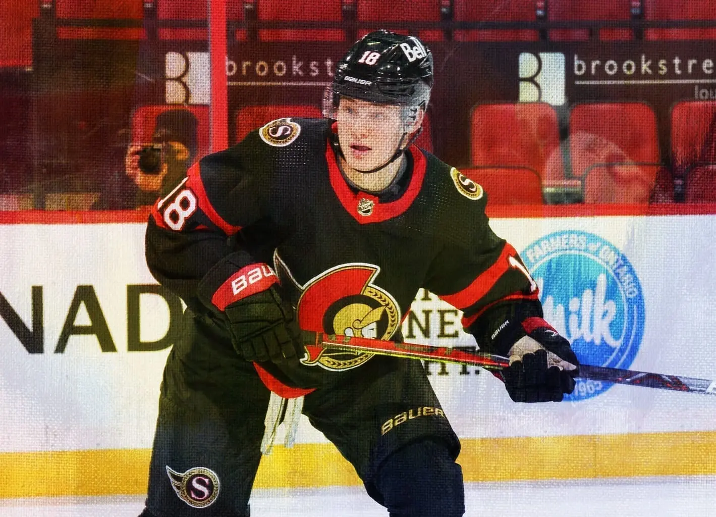Tim Stutzle: The Rising Star of the NHL