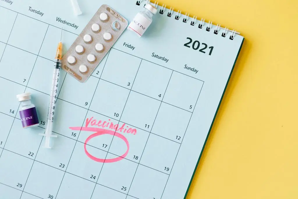 The Importance of Travel Vaccines for Global Travelers