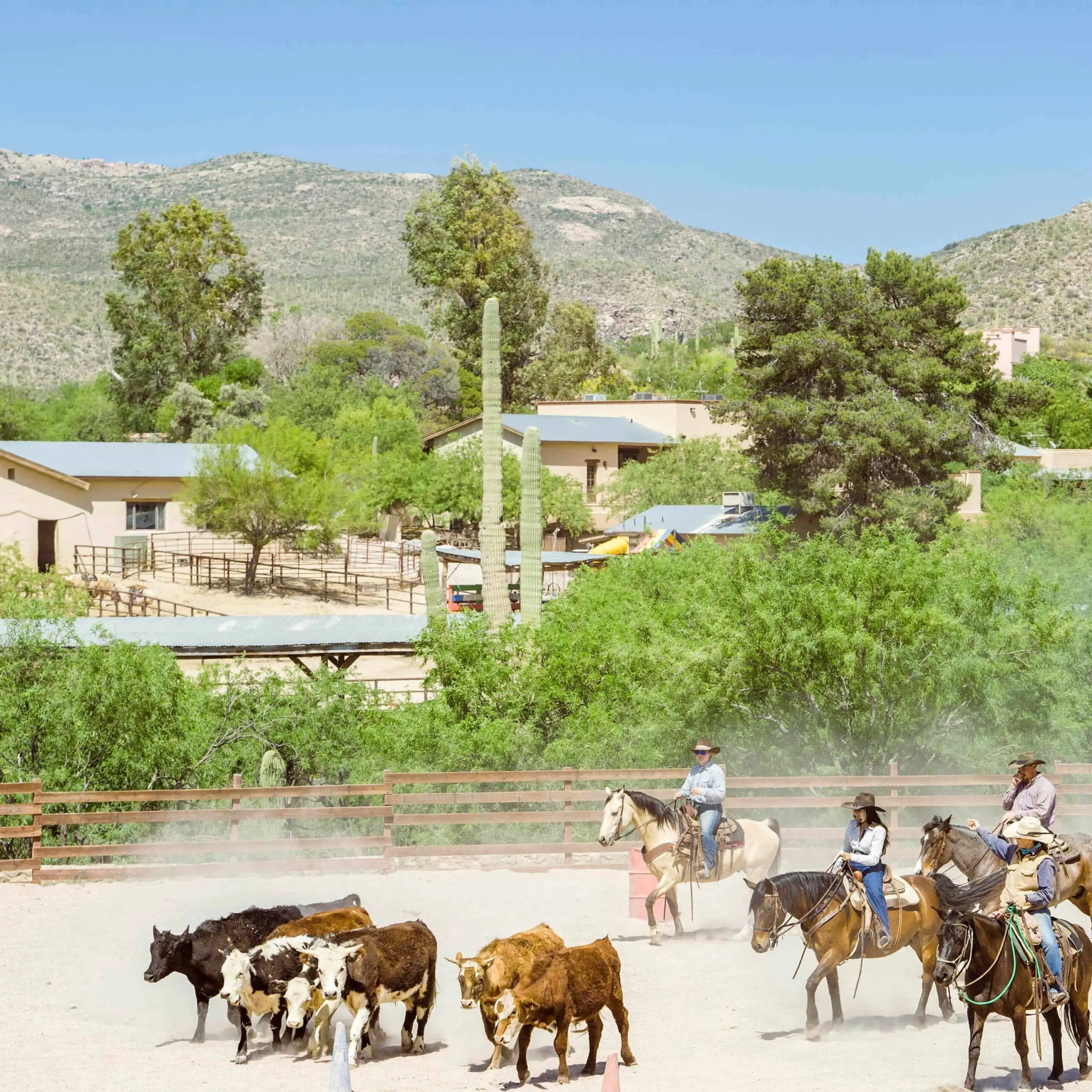 Tucson Arizona: A Rich Blend of Culture and Nature