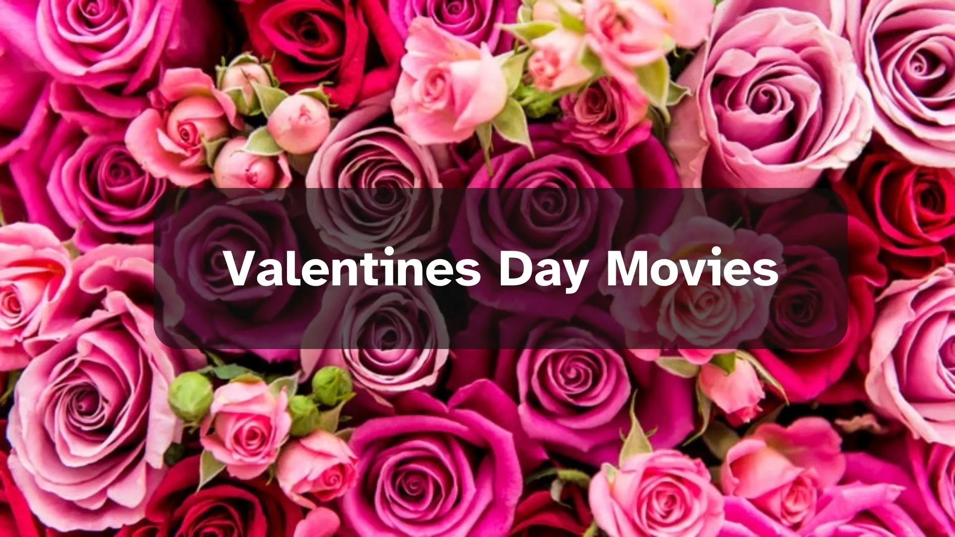 Top Valentine’s Day Movies to Celebrate Love