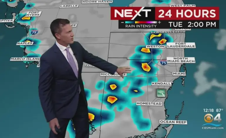 Latest Weather Insights for Miami: Forecasts and Conditions
