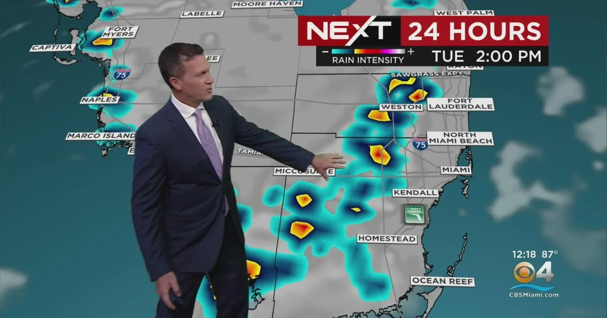 Latest Weather Insights for Miami: Forecasts and Conditions