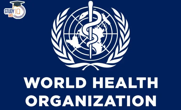 Current Initiatives by the World Health Organization