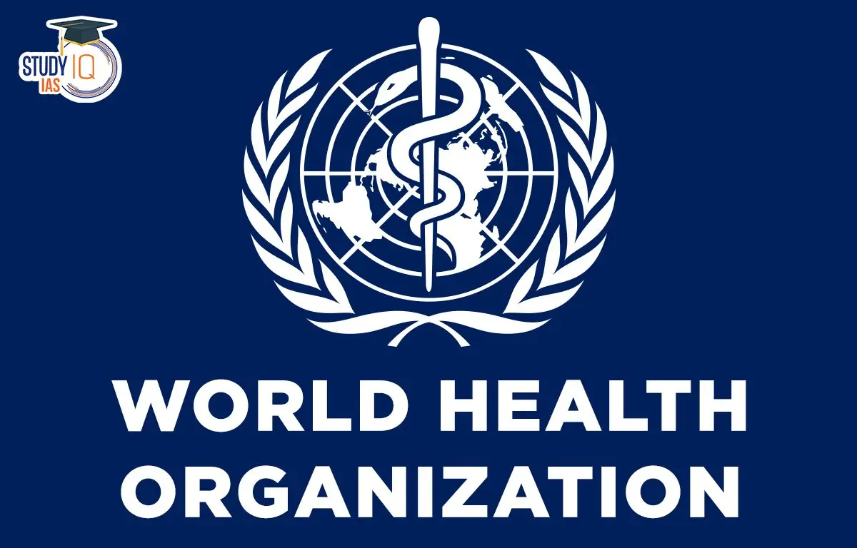 Current Initiatives by the World Health Organization