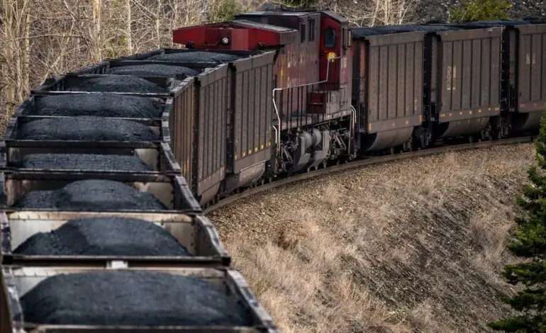 central mine planning ipo gmp — IN news