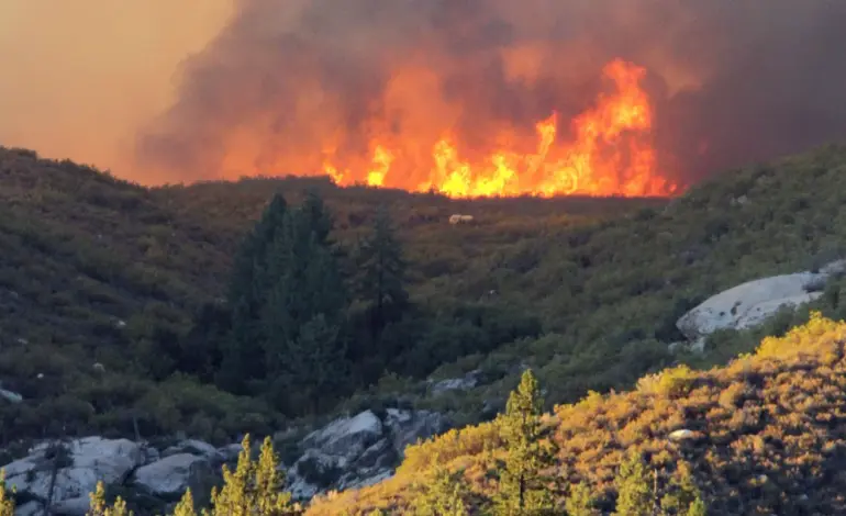 climate change — IN news