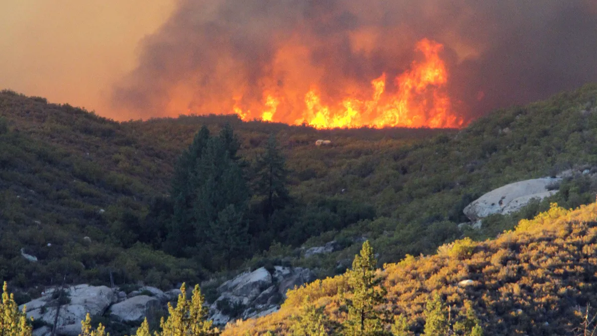 Climate Change: A Catalyst for Catastrophe