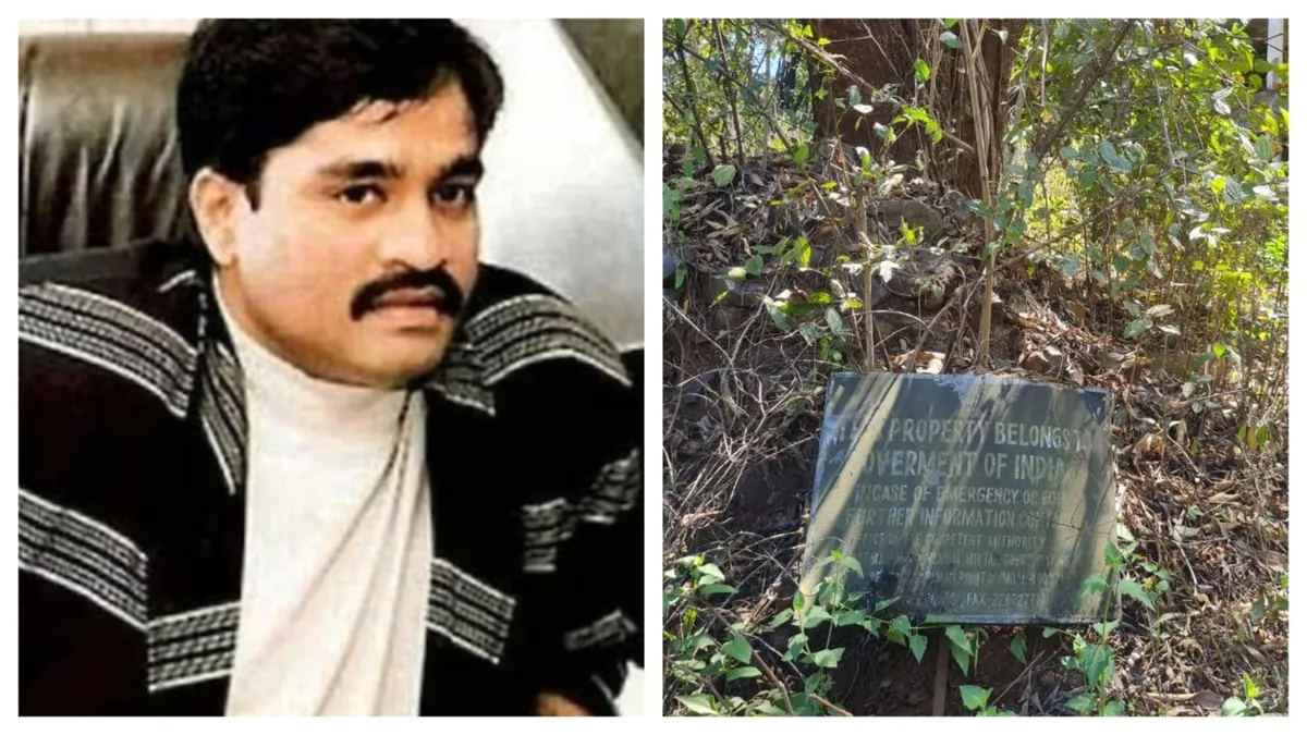 Dawood’s Properties Auctioned: A Turning Point in the Fight Against Criminal Networks