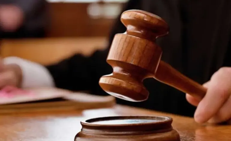 delhi traffic police lok adalat — IN news