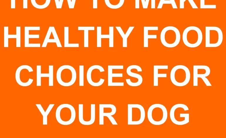 dog — IN news