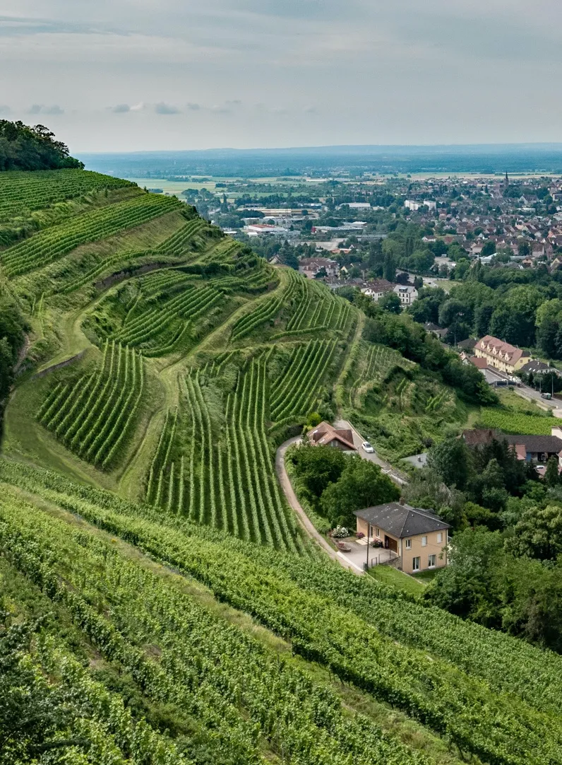 France Takes Center Stage at G7 Foreign Ministers’ Meeting