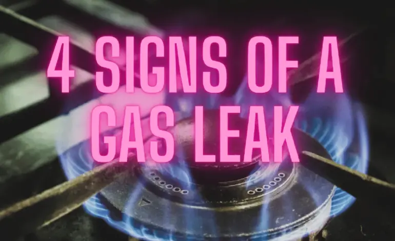Gas: Regulation of  Supply in India Amid West Asia Conflict