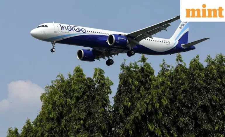 indigo share price — IN news
