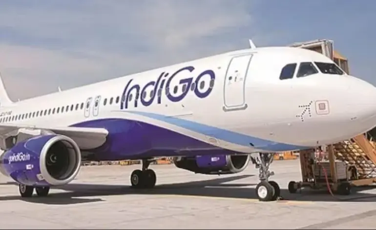 indigo share price — IN news