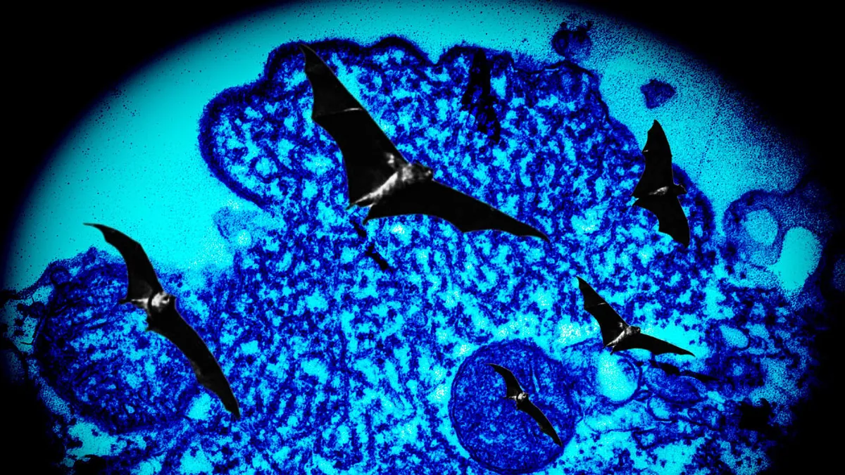 Nipah virus: The : A Persistent Threat in Kerala, India