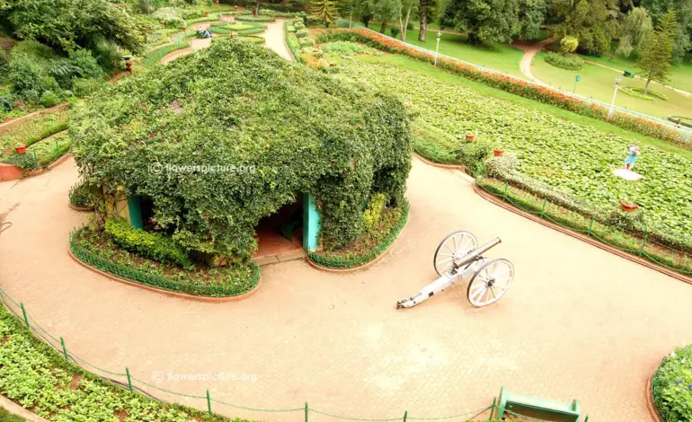 ooty — IN news
