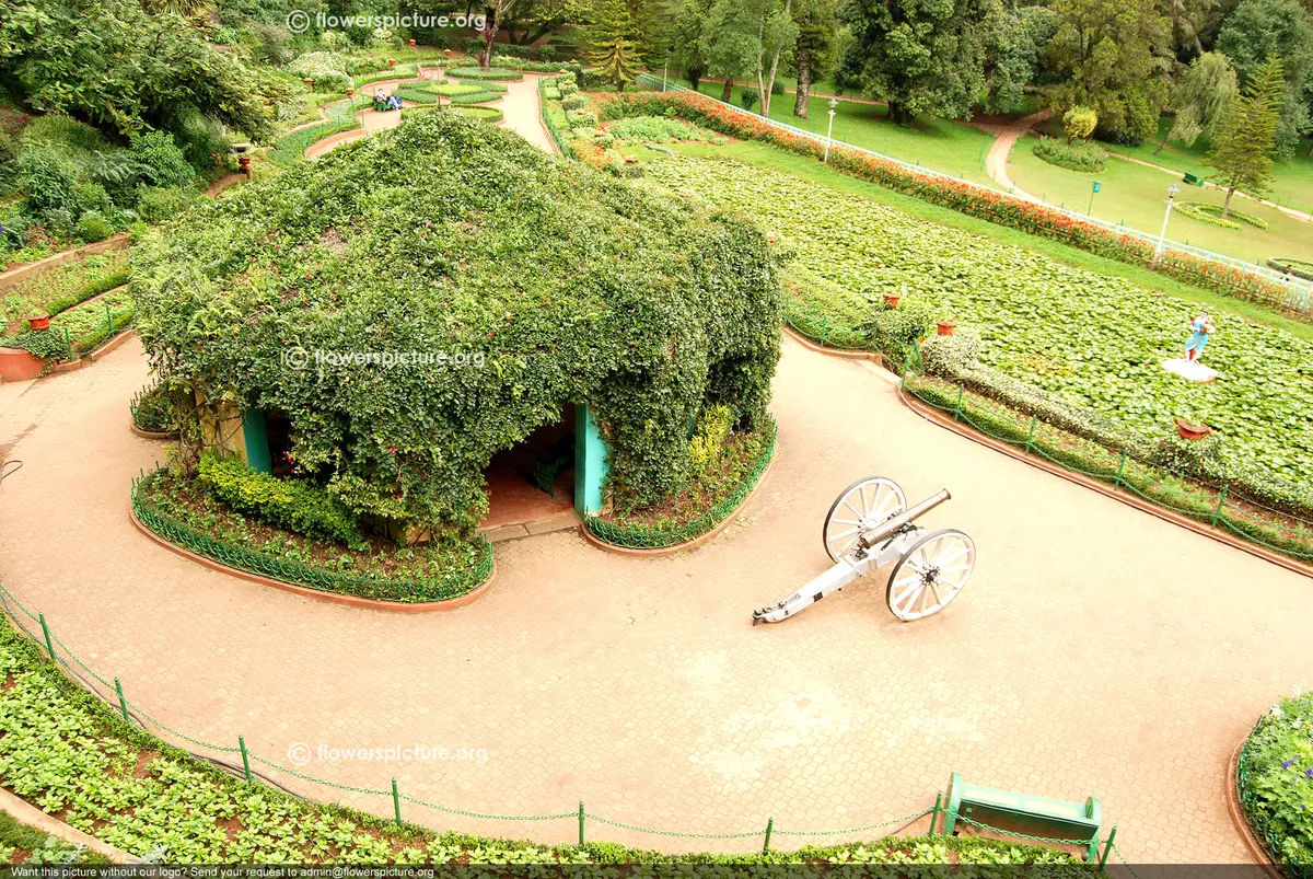 Ooty: Mohanlal’s Holiday Villa Highlights the Actor’s Real Estate Ventures