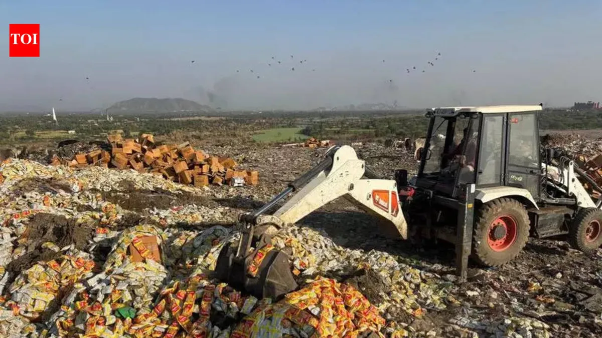 Raid: Significant  Uncovers Expired Food Products and Drug Seizures