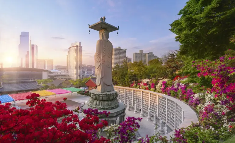 south korea — IN news