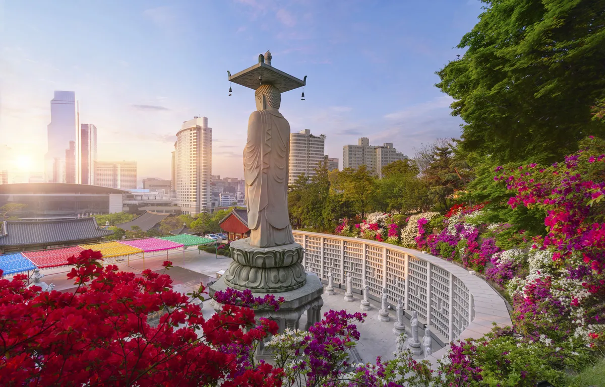 South korea’s stock market faces historic plunge amid geopolitical tensions