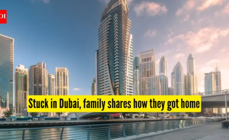 uae dubai news — IN news