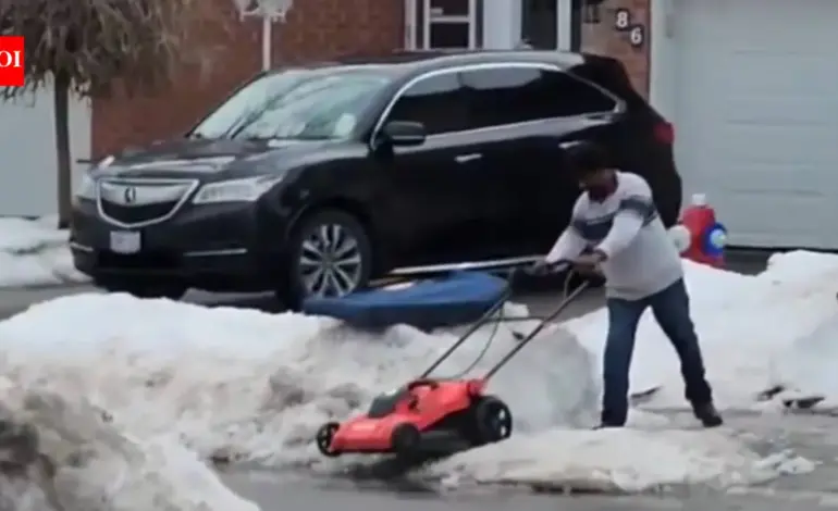 viral videos — IN news