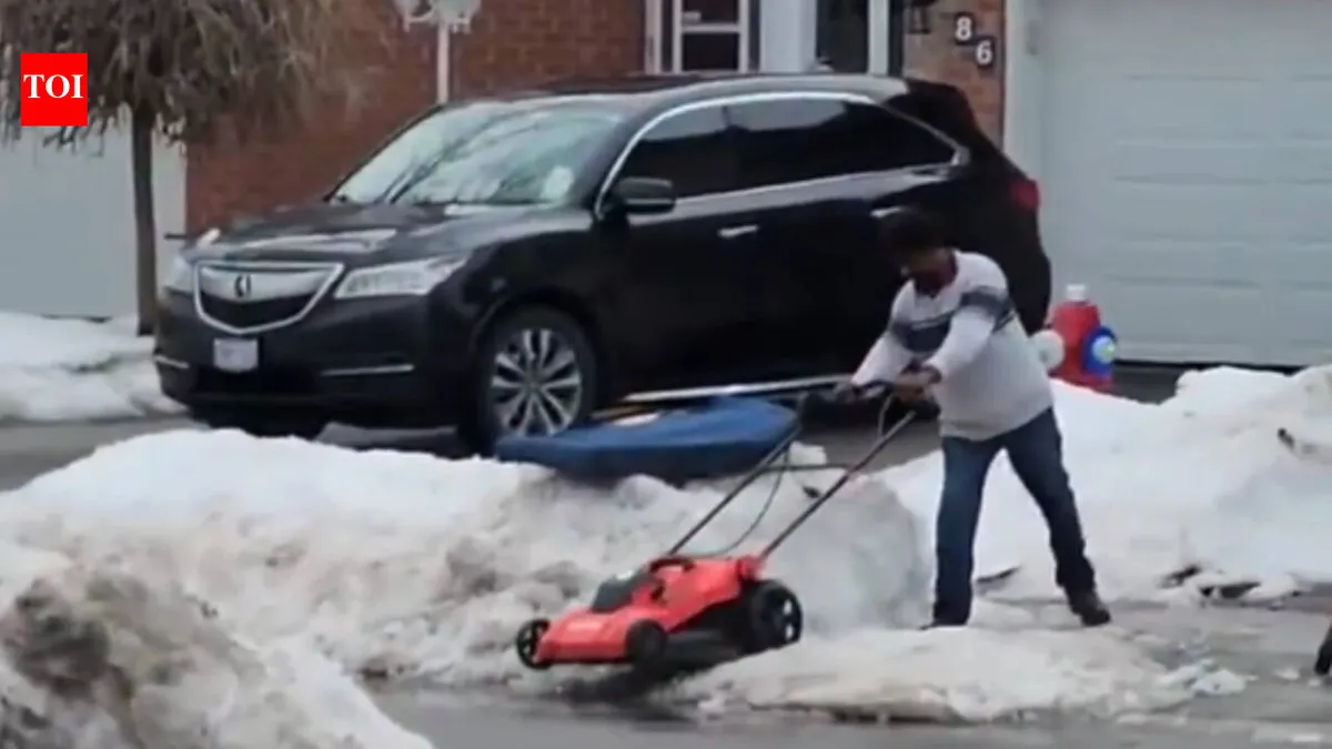 Viral Videos: A Look at Recent Sensations