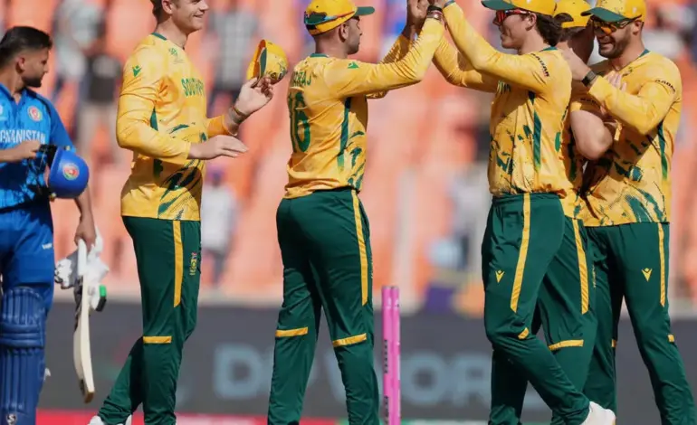 zim vs sa — IN news