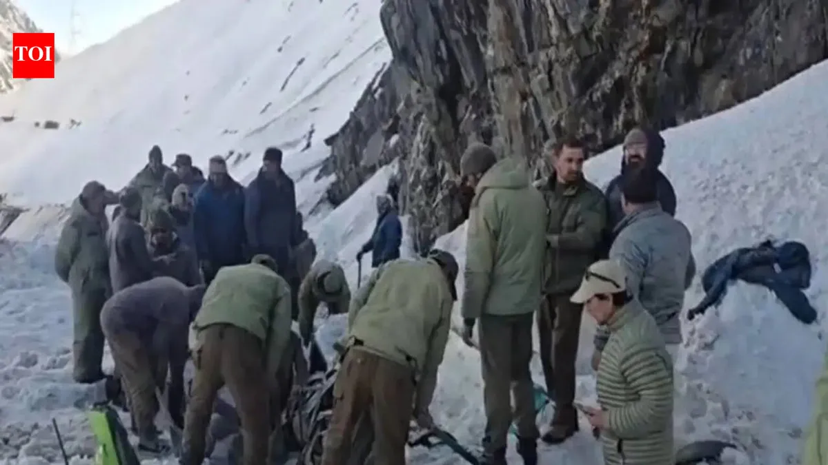 Zojila pass: Tragedy Strikes : Avalanche Claims Lives