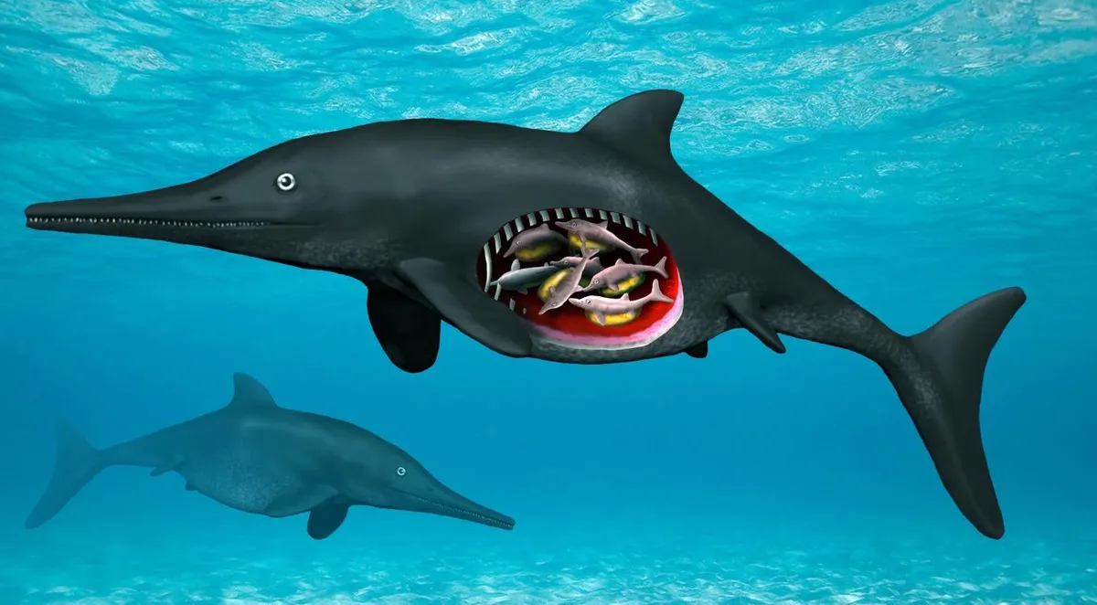 180 million year old ichthyosaur reveals survival secrets