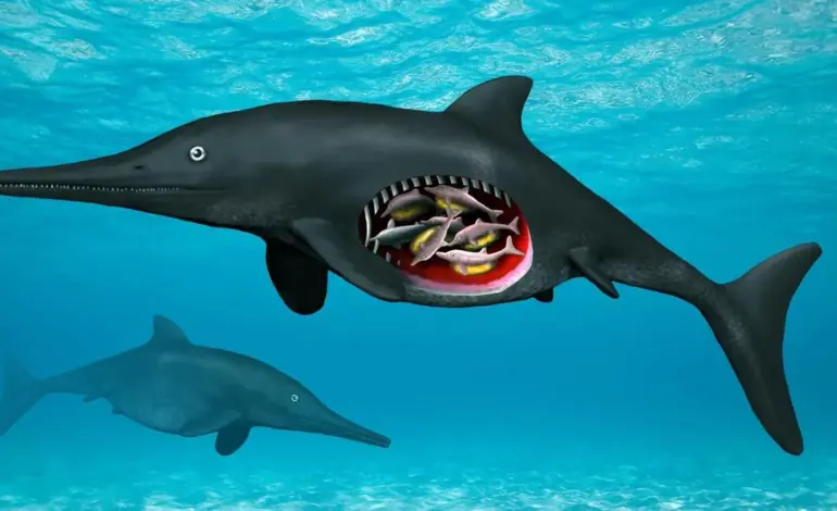 180 million year old ichthyosaur — IN news