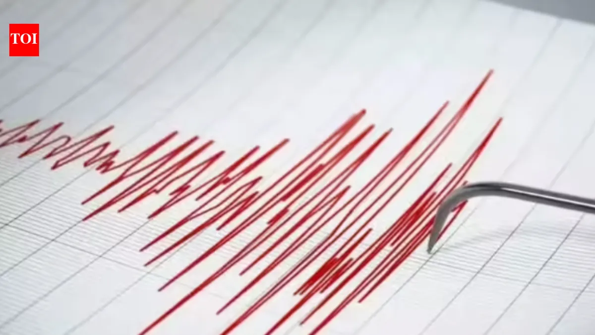 Earthquake: Magnitude 5.9  Strikes Delhi-NCR: What Does It Mean?