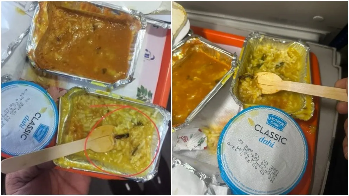 Indian Railway Catering and Tourism Corporation Faces Backlash Over Food Safety Incident