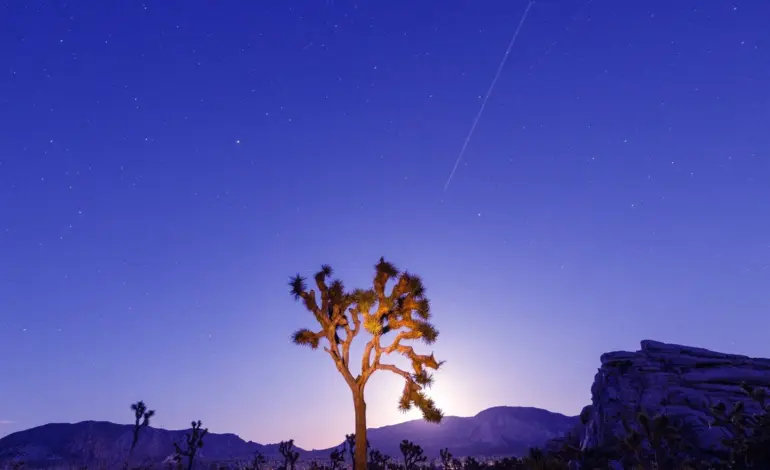 Lyrid Meteor Shower: A Celestial Spectacle Returns