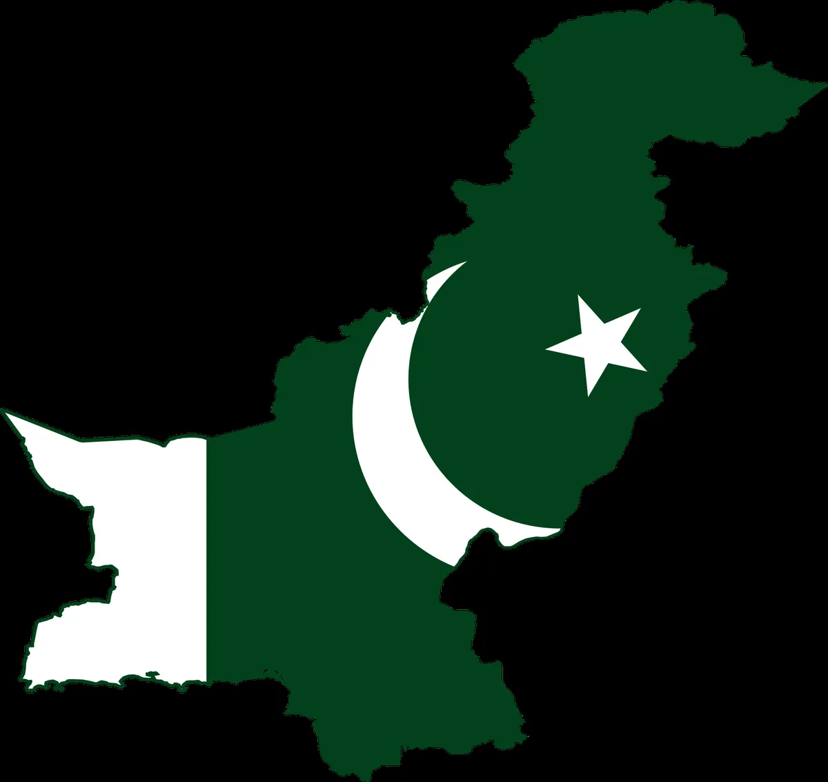 Pakistan’s Energy Revolution and Security Concerns: A Dual Narrative