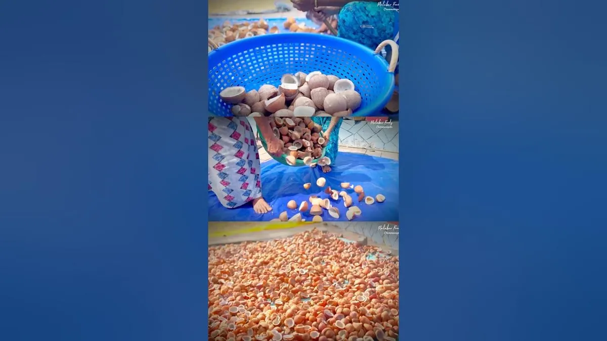 വെളിച്ചെണ്ണ: Coconut Oil Prices in Kerala: Middlemen Profit Amid Price Drops