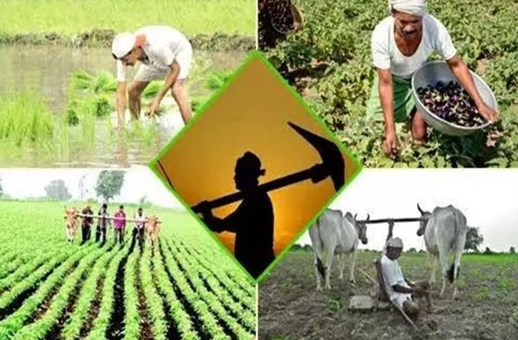 Agriculture Festival: A Central Initiative by the Agriculture Minister
